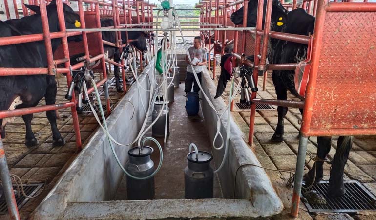 GANADERIA MULTIPROPOSITO