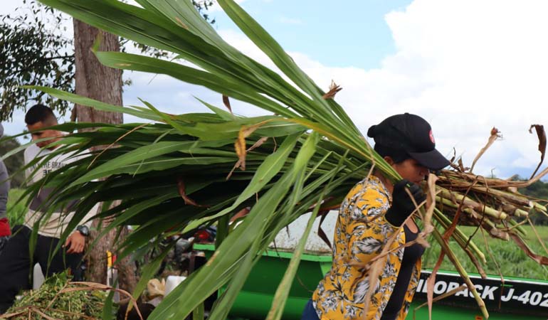 PROYECTOS PRODUCTIVOS 1