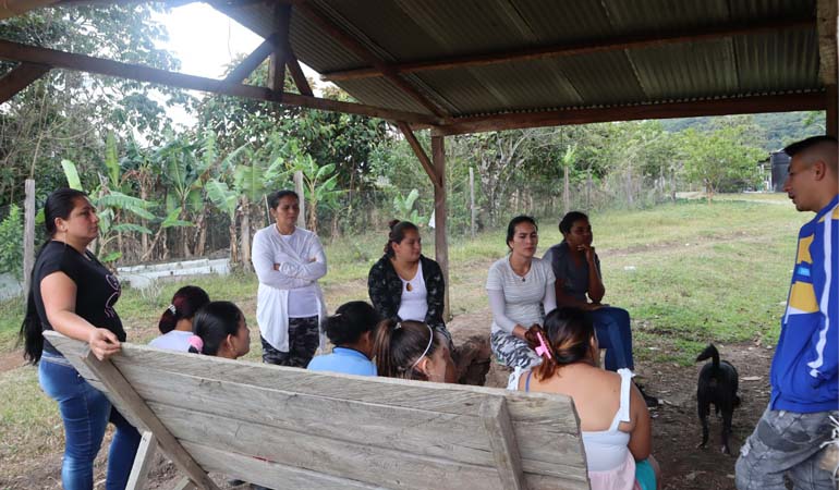 PROYECTOS PRODUCTIVOS 2