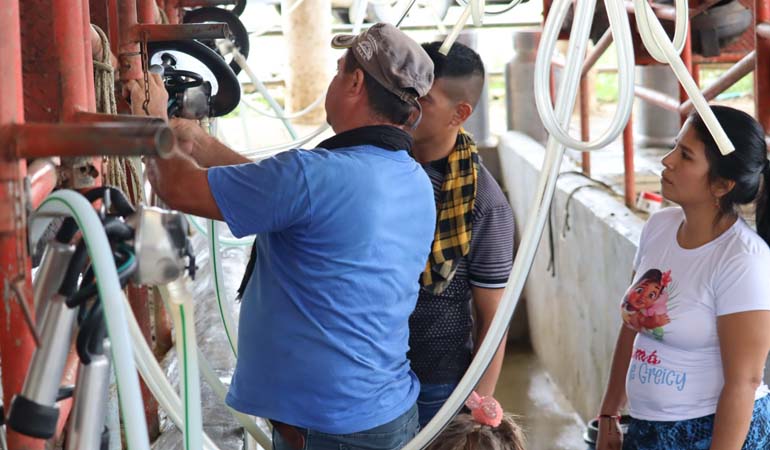 PROYECTOS PRODUCTIVOS 3