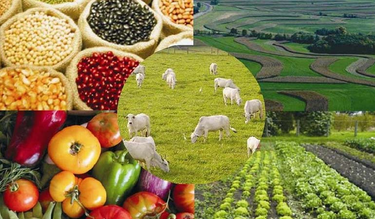 proyectos agropecuarios